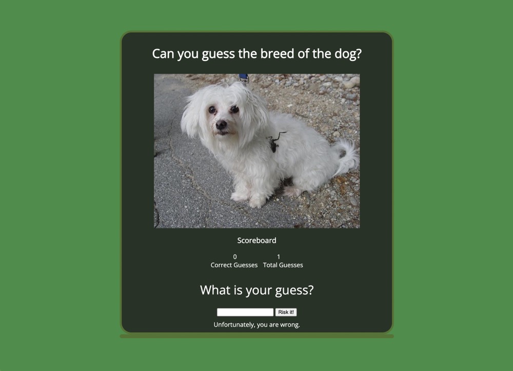 Guess the Dog Breed Quiz- Free Online Animal Game cover